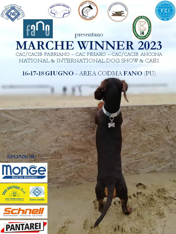 Marche Winner Show Esposizione nazionale canina