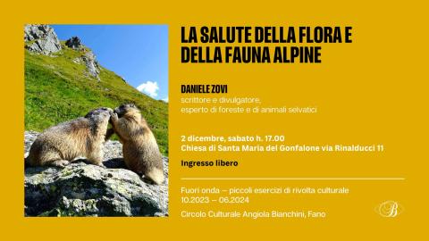 flore e fauna alpine