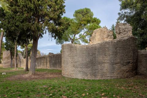 Mura Augustee