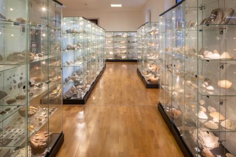 Museo delle Scienze Naturali 